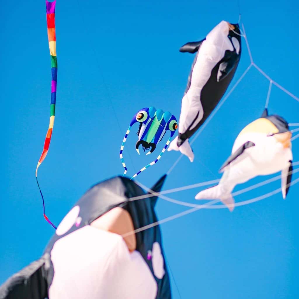 Cape Fear Kite Festival in Fort Fisher, North Carolina