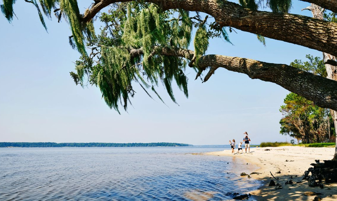 Enjoy a hike with your family and pets in the Carolina Beach State Park