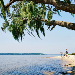 Enjoy a hike with your family and pets in the Carolina Beach State Park
