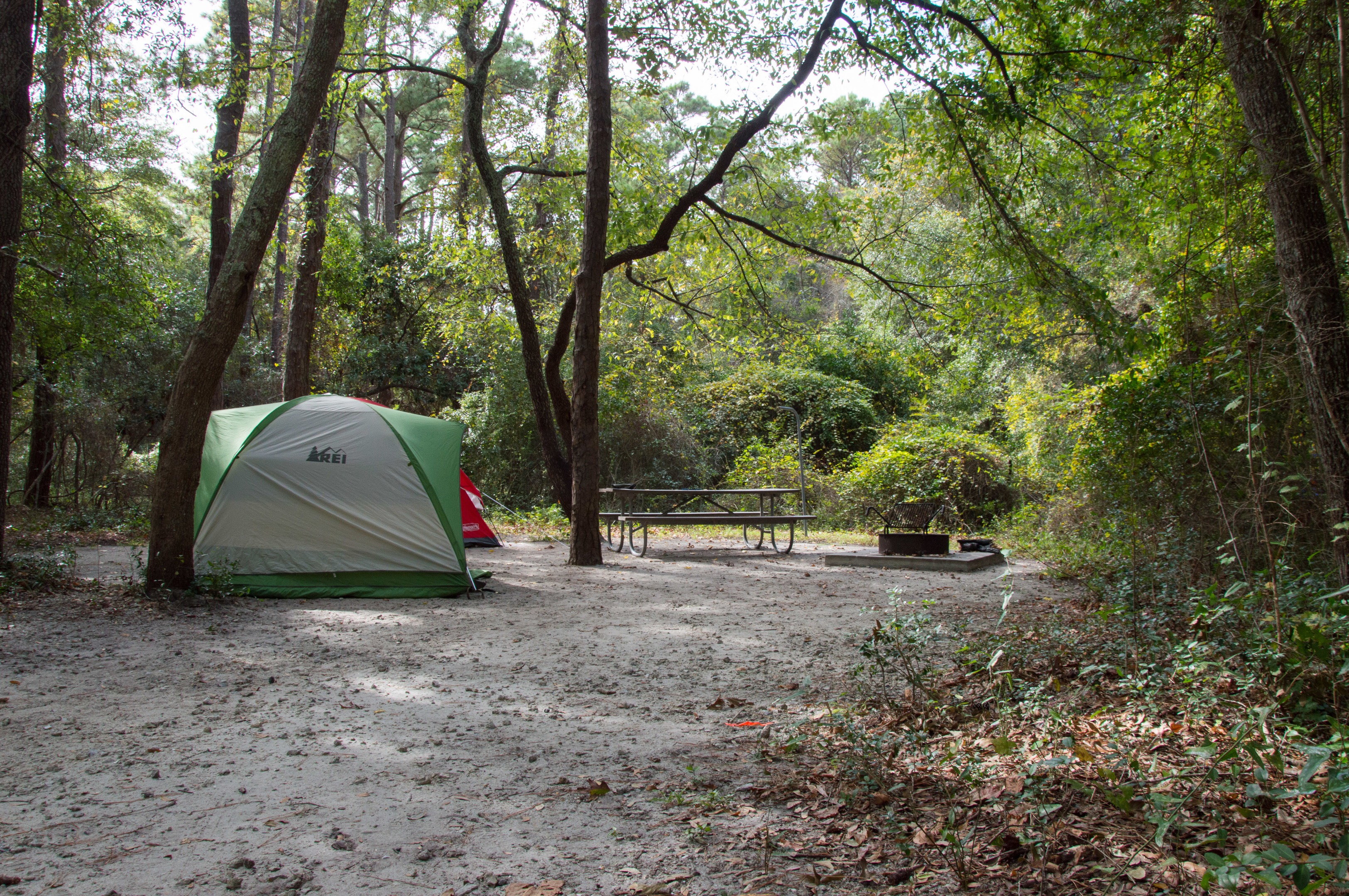 Reserve a camping spot in the Carolina Beach State Park in North Carolina