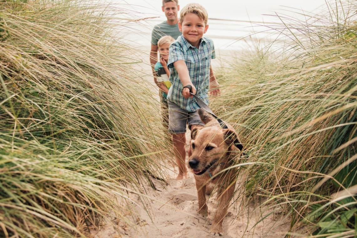The best pet-friendly beach in North Carolina and on the East Coast